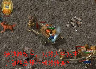 �Ӵ���Ϸ���ҵ�������������Щ���벻����ת�䣿