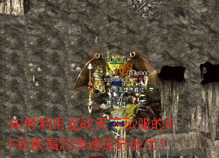 ���������ս����˽����QFȨ��©����������ս����