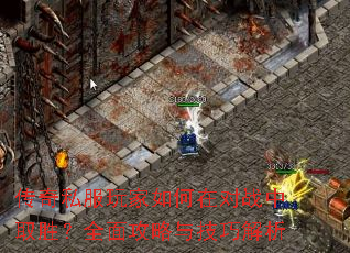 ����˽���������ڶ�ս��ȡʤ��ȫ�湥���뼼�ɽ���