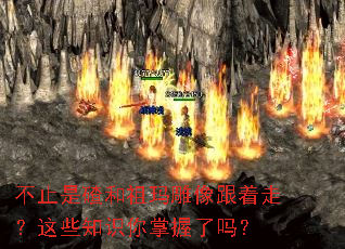 ��ֹ�ǲ�������������ߣ���Щ֪ʶ����������