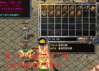 ħ����������ô��ħ����������������Щ��