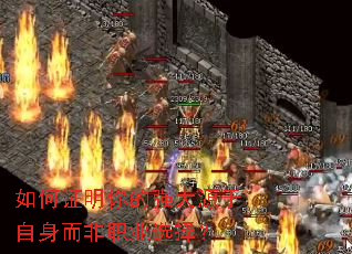 ���֤�����ǿ��Դ����������ְҵѡ��