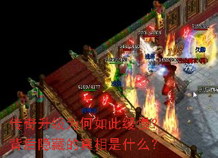 ��������Ϊ����˻������������ص�������ʲô��
