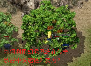 ������ûþ�ϵͳ�ڴ���˽���п�������ʵ����