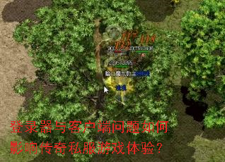 ��¼����ͻ����������Ӱ�촫��˽����Ϸ���飿