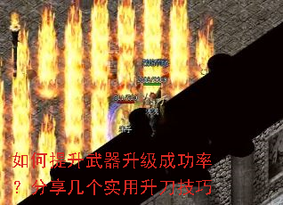 ����������������ɹ��ʣ���������ʵ����������