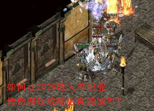 �����2025ɢ�˵�ְҵ������Ϸ���Ը����ǫ����