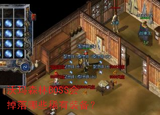 ����ɭ��BOSS�������Щϡ��װ����