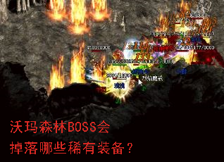 ����ɭ��BOSS�������Щϡ��װ����