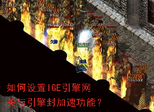 �������IGE�����������������ٹ��ܣ�