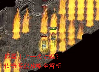 ��������һ����ң�������Ϸ����ȫ����