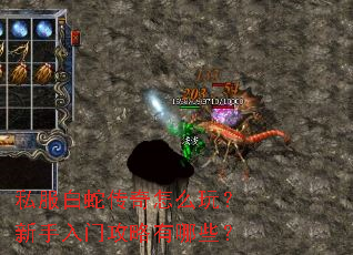 ˽�����ߴ�����ô�棿�������Ź�������Щ��
