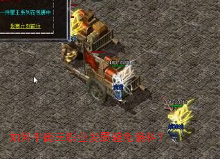 ���ƽ����ְҵ��չ����ƫ�ƣ�