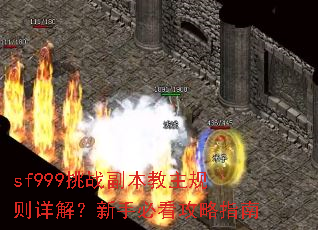 sf999��ս��������������⣿���ֱؿ�����ָ��