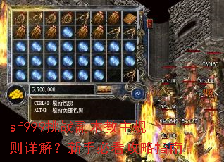 sf999��ս��������������⣿���ֱؿ�����ָ��