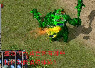 ʢȤ�����°�������Щ��ɫ����ֵ�����飿