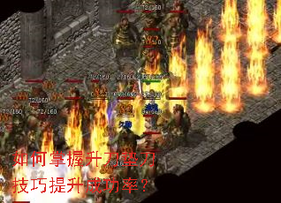 ������������浶���������ɹ��ʣ�