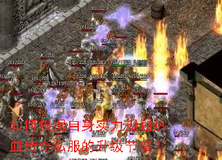 ��θ�������ʵ���滮��Ѫ����˽�����������ࣿ