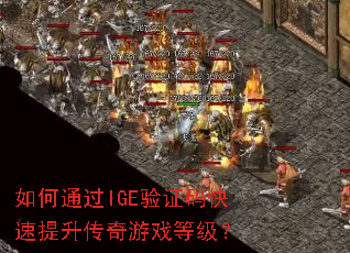 ���ͨ��IGE��֤���������������Ϸ�ȼ���