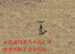 ��ΰ��Ѳ������ˣ�������Ϸ������Ϯָ��