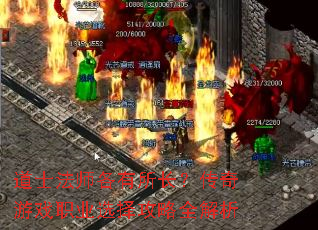 ��ʿ��ʦ����������������Ϸְҵѡ����ȫ����