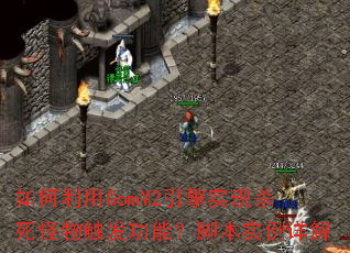 �������GomM2����ʵ��ɱ�����ﴥ�����ܣ��ű�ʵ�����