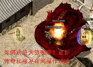 ����ջ�����֩�룿���´���˽����������������