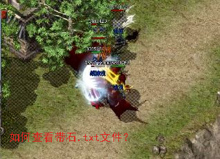 ��β鿴��ʯ.txt�ļ���