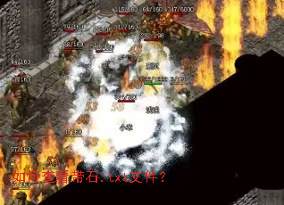 ��β鿴��ʯ.txt�ļ���