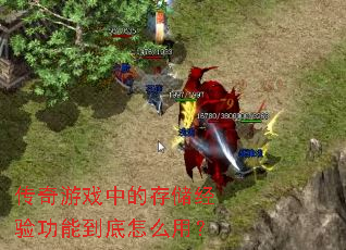 ������Ϸ�еĴ洢���鹦�ܵ�����ô�ã�