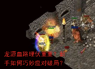 ��ԴѪ·������أ������������Ӧ���ƾ֣�
