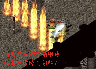 ������ֽű�̤�����߹�����������Щ��