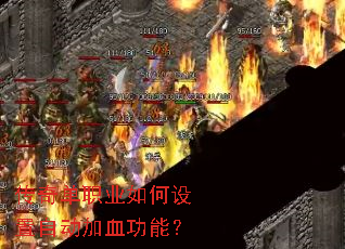 ���浥ְҵ��������Զ���Ѫ���ܣ�