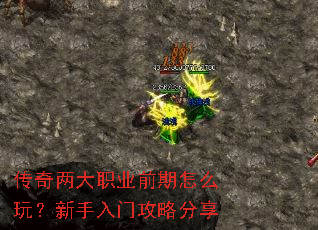 ��������ְҵǰ����ô�棿�������Ź��Է���