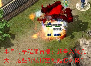 ���´���˽��ֱ�����º���Ӽ��죬��Щ������������ô�ƣ�