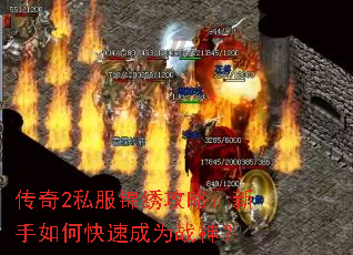 ����2˽�����幥�ԣ�������ο��ٳ�Ϊս��