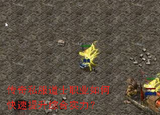 ����˽����ʿְҵ��ο��������ۺ�ʵ����