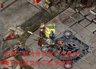 ������ش���˽������Ѫ���滳�ɷ���������ȫ����
