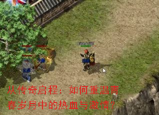 �Ӵ������̣���������ഺ�����е���Ѫ�뼤�飿