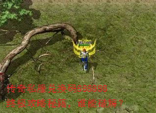 ����˽���һ���888888�ռ������ؼ���˭���ƽ⣿
