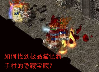 ����ҵ���Ʒè�����ִ�����ر��أ�