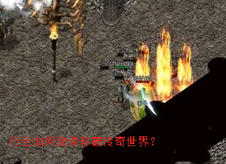 �л��������ưԴ������磿