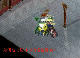 ���Ӧ��Ұ���еĹ�����ս��