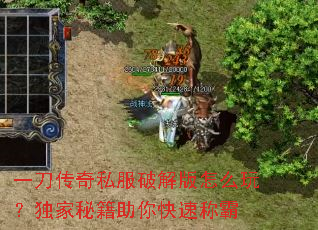 һ������˽���ƽ����ô�棿�����ؼ�������ٳư�