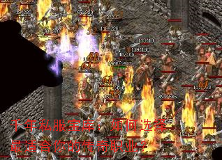 ǧ��˽�����⣺���ѡ�����ʺ���Ĵ���ְҵ��