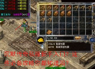 ��Ĭ����˽���������ţ���Щ�ر������㶼֪����