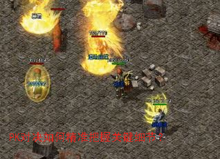 PK�Ծ���ξ�׼���չؼ�ϸ�ڣ�