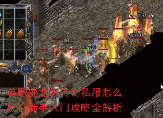 ��ְҵ���Ǵ���˽����ô�棿�������Ź���ȫ����