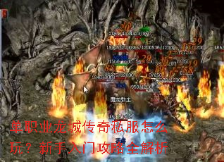 ��ְҵ���Ǵ���˽����ô�棿�������Ź���ȫ����