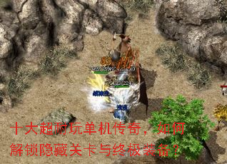 ʮ�����浥�����棬��ν������عؿ����ռ�װ����